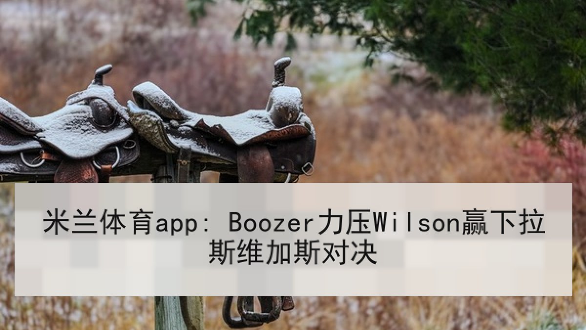 米兰体育app: Boozer力压Wilson赢下拉斯维加斯对决