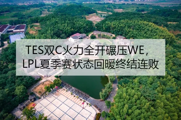 TES双C火力全开碾压WE，LPL夏季赛状态回暖终结连败