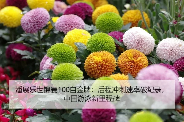 潘展乐世锦赛100自金牌：后程冲刺速率破纪录，中国游泳新里程碑
